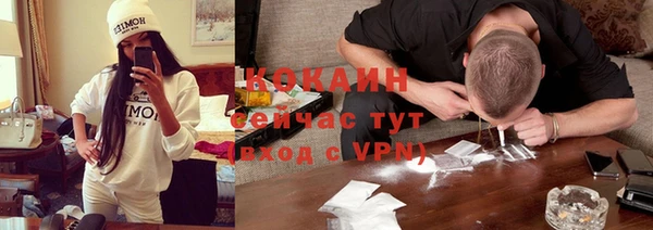 дживик Абинск