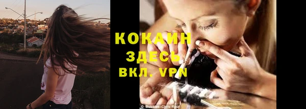 дживик Абинск