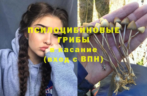 не бодяженный Абаза
